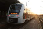 1648 925/425 im Bahnhof Haldensleben am 6.11.21