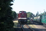 114 703 (203 230) im Bahnhof Putbus am 30.7.21