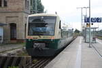 650 032 (650 300) im Bahnhof Bergen auf Rgen am 20.9.21