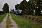 Am Nixhof unweit von Boisheim konnte ich 101 133 schiebend an einen RE13 Ersatzzug ablichten a. 25.9.2025