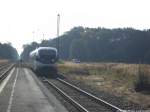 OLA VT 0010 mit ziel Stralsund Hbf bei der Einfahrt in den Bahnhof Sternfeld am 7.10.13