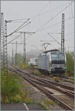 In Kornwestheim PB steht die Railpool 6193 161 auf einem Abstellgeleis.