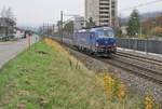 widmer-rail-services-ag-wrs/718729/die-wrs-193-493-auf-der Die WRS 193 493 auf der Fahrt nach Biel/Bienne bei Grenchen.

11. Nov. 2020