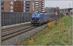 widmer-rail-services-ag-wrs/718730/die-wrs-193-493-auf-der Die WRS  193 493 auf der Fahrt nach Biel/Bienne bei Grenchen. 

11. Nov. 2020