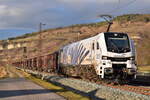 2019 313 von Lomo mit einem Ganzzug durch Thüngersheim am Somntag den 26.1.2025 gen Würzburg Hbf.