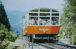 Th�ringer Bergbahn oberhalb der Bergstation Lichtenhain an der Bergbahn am 11.8.1976