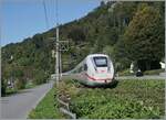 Gartenbahn - aber im Massstab von 1/1; die Bahn mag sich zurecht einen Grnen Anstrich geben, aber hier hat man es wohl etwas bertrieben: Der DB ICE 4 9217 kmpft sich zwischen Bregenz und Lochau Hrbranz durch den Jungle in Richtung Lindau Reutin.

15. September 2024