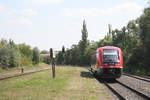 BR 641/711356/641-005-als-rb78-mit-ziel 641 005 als RB78 mit ziel Merseburg Hbf verlsst den Bahnhof Mcheln (Geiseltal) am 8.8.20