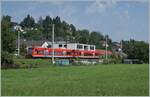 BR 650/820775/zwei-db-650-treibwagen-streben-bei Zwei DB 650 Treibwagen streben bei Enzisweiler in Richtung Lindau Insel.

14. August 2021