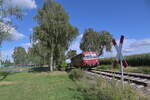 BR 798/859801/am-sonntagnachmittag-den-25824-ist-mir Am Sonntagnachmittag den 25.8.24 ist mir der 798 652-4 bei Siegelsbach auf seinem Weg nach Neckarbischofsheim Nord vor die Linse geraten.