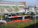 MAN Bus der DB ZugBus Regio Alb-Bodensee auf dem Busbahnhof Friedrichshafen Hafenbahnhof am 12.4.17