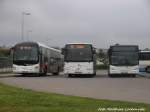 MAN und Volvo Busse aufm Bergener Busbahnhof am 2.6.15