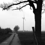 Fruhling/555266/harber-lueneburger-heide-windkraftrad-am-dorfrand Harber (Lüneburger Heide), Windkraftrad am Dorfrand.