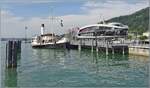 In Bregenz zeigt sich der sch�ne Raddampfer 'Hohentwil' neben der 'Sonnenk�nigin'. 

18. Juni 2023