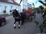 Friese mit der Pferdekutsche beim Erntefestumzug in Putbus am 21.9.13