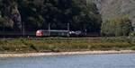 Kübler 218 117-0 mit Dienst ümh und nem Tragwagen unterwegs Richtung Oberwesel/Bingen. Bad Salzig 13.08.2025