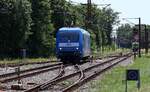 Bahn frei für die RDC 101 027...im Hintergrund die 193 410...Pattburg 21.06.2025