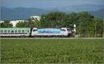 Die ehemalige Crossraillok 186 907 f�hrt mit RoLa s�dw�rts.