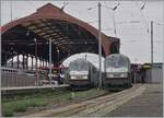 bb-26000-2/861208/die-beiden-sncf-grand-est-bb Die beiden SNCF GRAND EST BB 26161R und 26167R warten in Strasbourg mit ihre TER nach Paris Est (!) und Basel SBB auf die Abfahrt. 

12. März 2024 