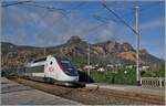 Der SNCF TGV 6168 von Nice-Ville nach Paris Gare de Lyon mit dem Rame 856 fährt durch den Bahnhof von Anthéor-Cap-Roux. Der Ort ist (bahnfotograf-technisch) vor allem wegen seinem Viadukt bekannt, welches hier leider nicht zu sehen ist, dafür zeigen sich die roten Felsen im Hintergrund herrlich im Nachmittagslicht.

24. März 2025