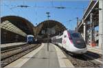 'Nice Ville - Nice Ville' erklang es in meinen Ohren, als wir nach �ber 15 Jahren wieder in Nice ankamen. Der SNCF TGV 6805 von Lyon Part Dieu brachte uns nach Nice, aber wir hatten schon in Saint Rapha�l ein paar Tage C�te d'Azur Luft geschnuppert.  ...