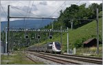 Der TGV Lyria von Paris nach Genève hat bei La Plaine die Schweiz erreicht und damit fast sein Ziel Genève.