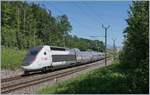 TGV Lyria von Paris nach Lausanne kurz vor seinem Ziel bei Bussigny.