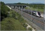 Der TGV Lyria 4410 verlässt Belfort-Montbéliard TGV in Richtung Paris. 

1. Juni 2019