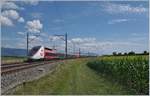 Der TGV Lyria 4721 auf dem Weg von Paris nach Lausanne kurz vor Arnex und somit schon fast am Ziel seiner Reise. 

14. Juli 2020