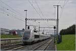 Als Leerfahrt ist ein TGV Lyria in Schüpfen von Biel RB nach Bern unterwegs. Ab Bern wird der TGV via Basel - Dijon nach Paris fahren. 
Lieder stellte Lyria diese Verbindung zum Fahrplanwechsel 2019/20 ein.

24. April 2019