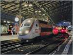 Der TGV Lyria 4730 wartet in der Zugausgangsstation von Lausanne auf die Abfahrt nach Paris Gare de Lyon. 
20. Feb 2024