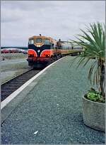 Die CIE (Iarnród Éireann) Diesellok CC 087 mit dem IC Rosslare - Dublin beim der Ankunft in Wexford. 

Analog Bild vom Juni 2001