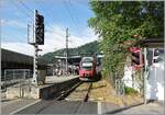 In Bregenz Hafen wartet ein �BB 4024 auf die Abfahrt in Richtung Feldkirch. 

18. Juli 2023