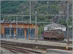 Eine der wenigen noch vorhandenen BLS Re 4/4 (Re 425) 192 steht aufgebügelt im Bahnhofvon Brig.

17. Aug 2024 

