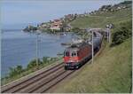 Die rote SBB Re 6/6 11630 (Re 620 030-7) 'Herzogenbuchsee' ist mit einen Kesselwagen Ganzzug zwischen Rivaz und St-Saphorin auf me Weg nach St-Triphon. 

19. Mai 2025
