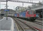 Wie planmässig vorgesehen ist der EWLV Zug von Lausanne nach Zürich via Brig und Kandersteg mit zwei Re 6/6 unterwegs und wartet in Lausanne auf die Blockdistanz zum vorausfahrenden IR90.

22. Mai 2025