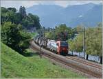 Ebenfals bei Villeneuve, aber aus der Gegenrichtung zeigt sich die SBB Cargo International 193 470 mit dem Novelis Güterzug von Sierre nach Göttingen, womit wohl diese Liestung wieder von der DB auf die SBB übergegangen ist.

30. Jul ...