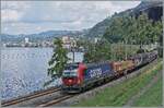 Die längerfristig die SBB Cargo vermietet 193 061 ist bei Villeneuve mit einem Güterzug auf dem weg in Richtnung St-Maurice.

30. Juli 2025