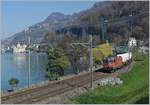 Die SBB Re 420 277-6 mit einem Güterzug Richtung Wallis beim Schloss Chillon.

29. März 2019