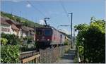 Im Gegenlicht fotografiert: Die SBB Re 420 331-1 und eine weitere mit einem Güterzug Richtung Neuchâtel bei Ligerz.