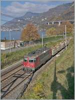 re-4-4-ii/868725/die-sbb-cargo-re-44-ii Die SBB Cargo Re 4/4 II 11243 (Re 420 243-8) 'Wartung mit Durchblick' erreicht mit einem Güterzug den Bahnhof von Villeneuve. 

14. Nov. 2024