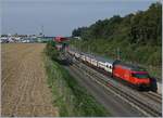 Die NBS (Schnellfahrtstrecke Mattstetten - Rothrist)  bei Langental mit von Re 460 geführen schnell durchfahrenden Zügen.