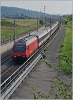 Die SBB Re 460 060-5 mit einem IC NBS Rothrist - Mattstetten (Olten-Bern) bei Langenthal.