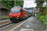 Re 460/850426/eine-sbb-re-460-die-auf Eine SBB Re 460 (die auf der Seite angebrachte Nummer war leider nicht zu lesen) erreicht mit einem IR 90 von Brig nach Genève Aéroport den Bahnhof von Vevey.

1. Juni 2024