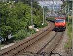 Re 460/850544/eine-sbb-re-460-faehrt-mit Eine SBB Re 460 fährt mit ihrem IR 90 hinter dem Château de Chillon vorbei in Richtung Wallis. 

4. Juni 2024 