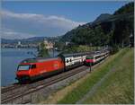 Re 460/851507/als-ich-bei-villeneuve-den-ir90 Als ich bei Villeneuve den IR90 von Brig nach Genève Aéroport fotografieren wollte, kam gerade der Gegenzug, diesen konnte ich auf diesem Bild nur mit dem Fahrleitungs-Masten vor dem Steuerwagen ablichten. 

5. Juni 2024