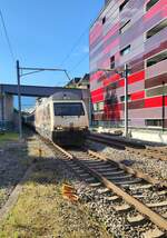 Re 460/855932/die-sbb-re-460-019-3-175 Die SBB Re 460 019-3 '175 Jahre Schweizer Bahnen'  erreicht mit einem IR 90 nach Genève Aéroport den Bahnhof von Montreux. 
27 Juli 2024