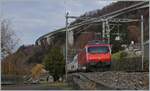 Den Doppelstockzug auf dem Weg von Brig nach Genève Aéroport schiebt eine SBB Re 460.