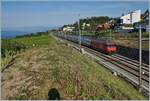 Ein SBB Re 460 ist im Lavaux bei La Conversion mit einen IC von Genève Aéroport nach St.Gallen unterwegs, in de Zwischenzeit sind diese Leistungen vollständig von den SBB RABe 502