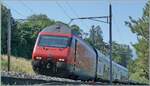 Ziemlich Bild f�llend zeigt sich eine SBB Re 460 mit ihrem IR 90/95 kurz nach Villeneuve auf dem Weg in Richtung Lausanne. 

19. Juni 2026